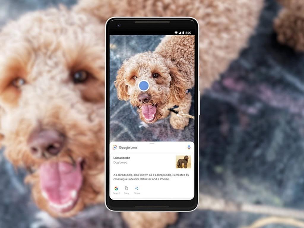 Google Lens: Understand What This App Is And How It Works
