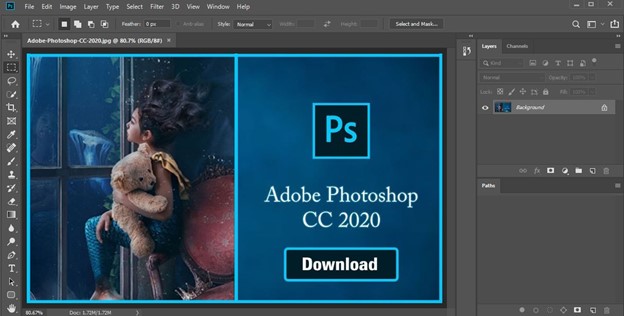 Discover the Best Software Options for Graphic Designers