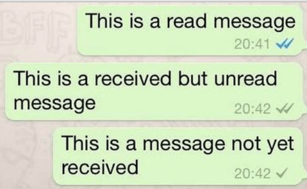 Learn How to Send Messages on WhatsApp Without Being Online