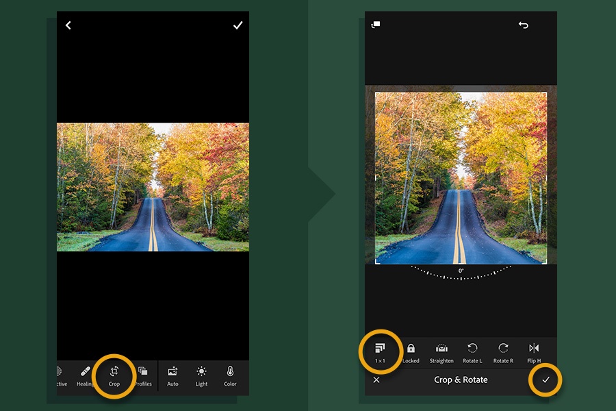 Learn How to Edit Photos in a Professional Way with the Adobe Lightroom App