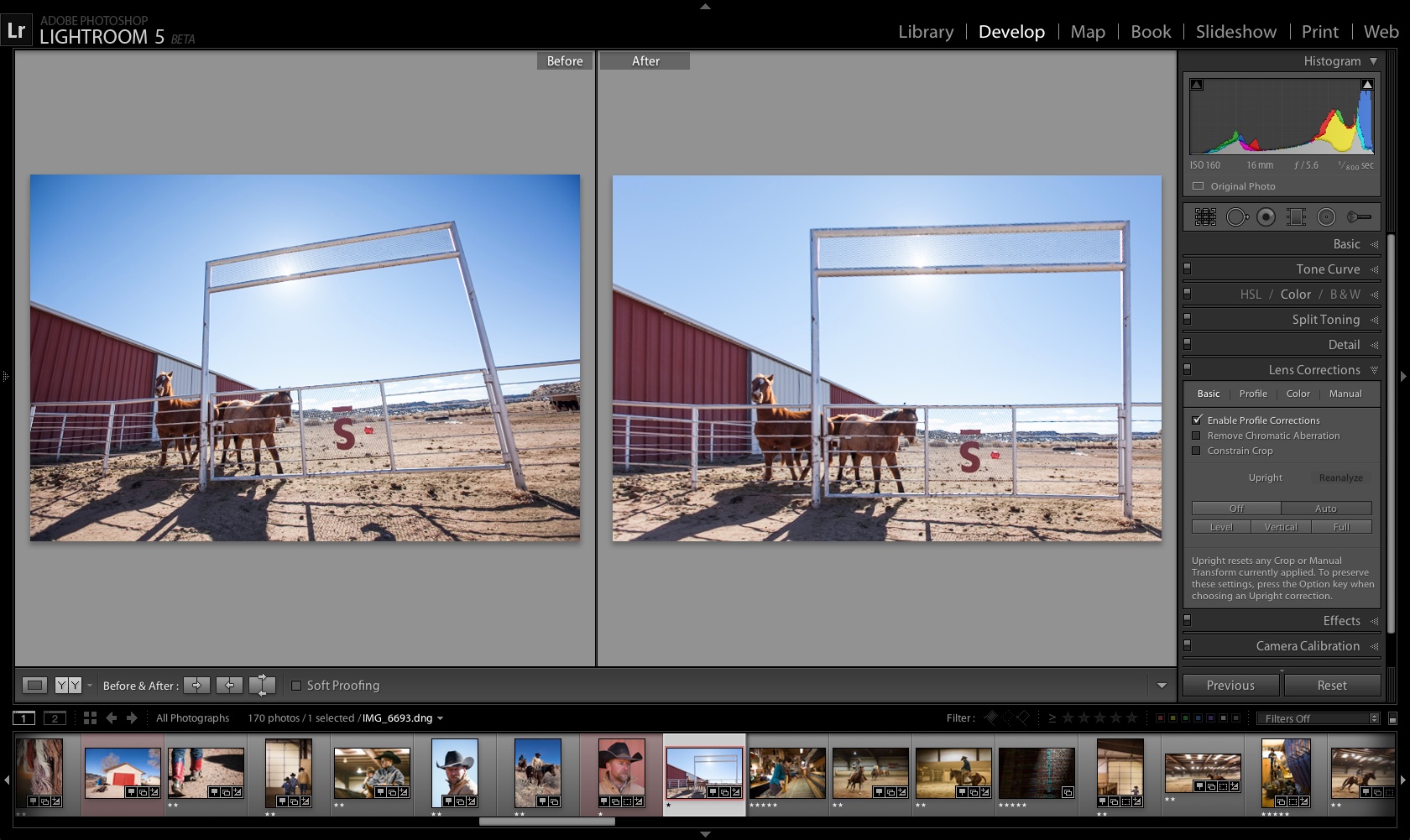 Learn How to Edit Photos in a Professional Way with the Adobe Lightroom App