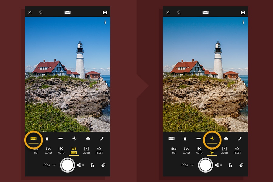 Learn How to Edit Photos in a Professional Way with the Adobe Lightroom App