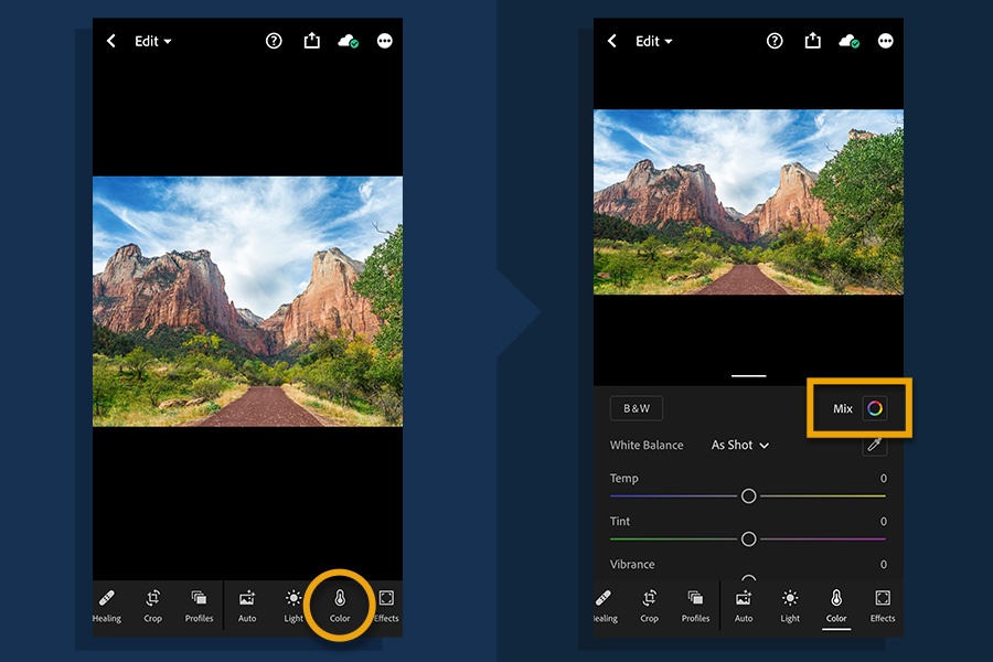 Learn How to Edit Photos in a Professional Way with the Adobe Lightroom App