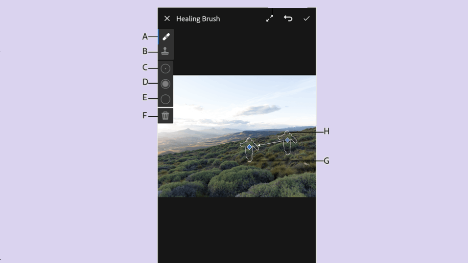 Learn How to Edit Photos in a Professional Way with the Adobe Lightroom App