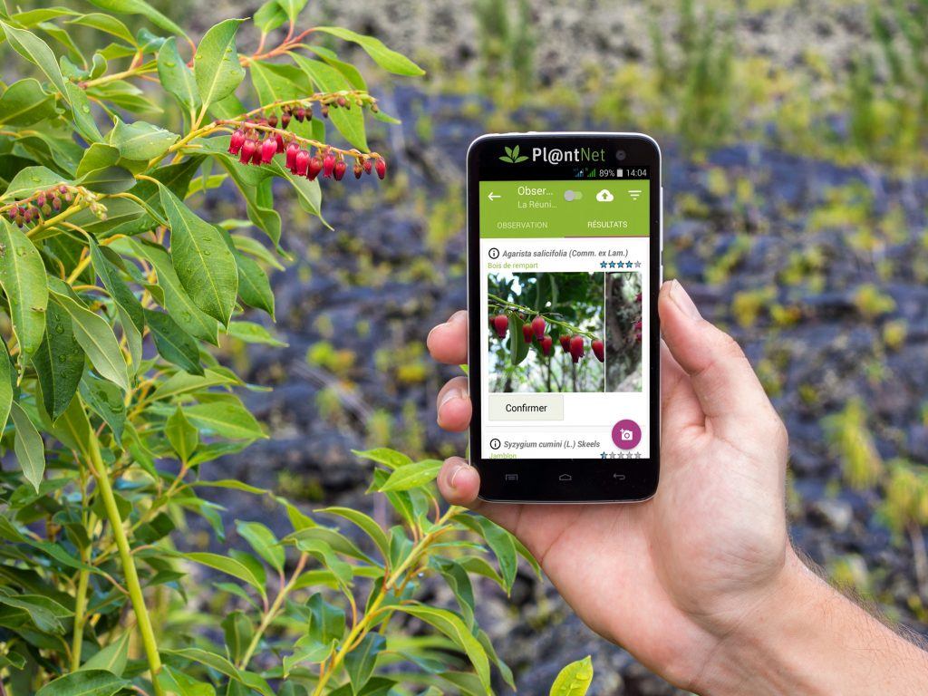 Never Confuse Plants Again With PlantNet: The Plant Identification App