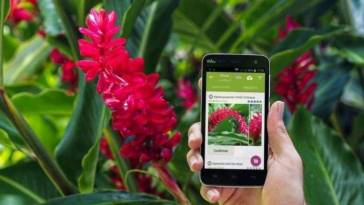 Never Confuse Plants Again With PlantNet: The Plant Identification App