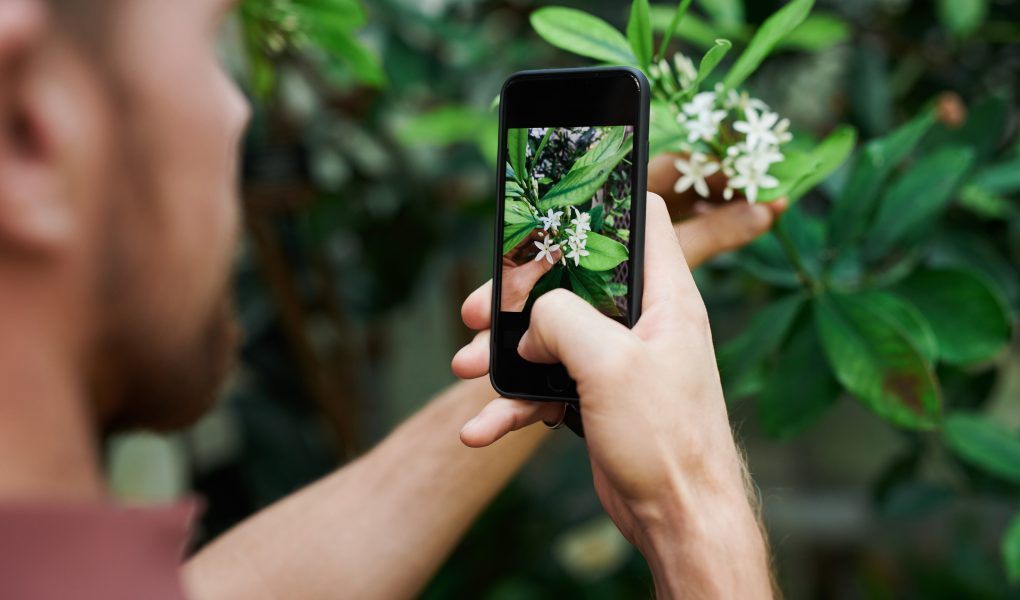 NatureID App - Identify Plants With A Tap Of A Finger