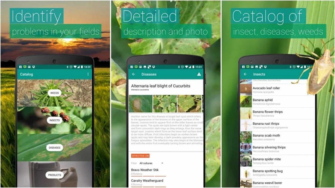 NatureID App - Identify Plants With A Tap Of A Finger