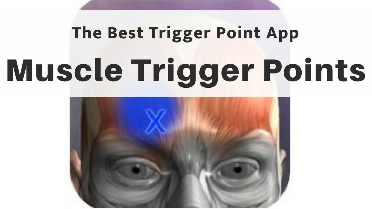 Muscle Trigger Point Anatomy - Know the Body