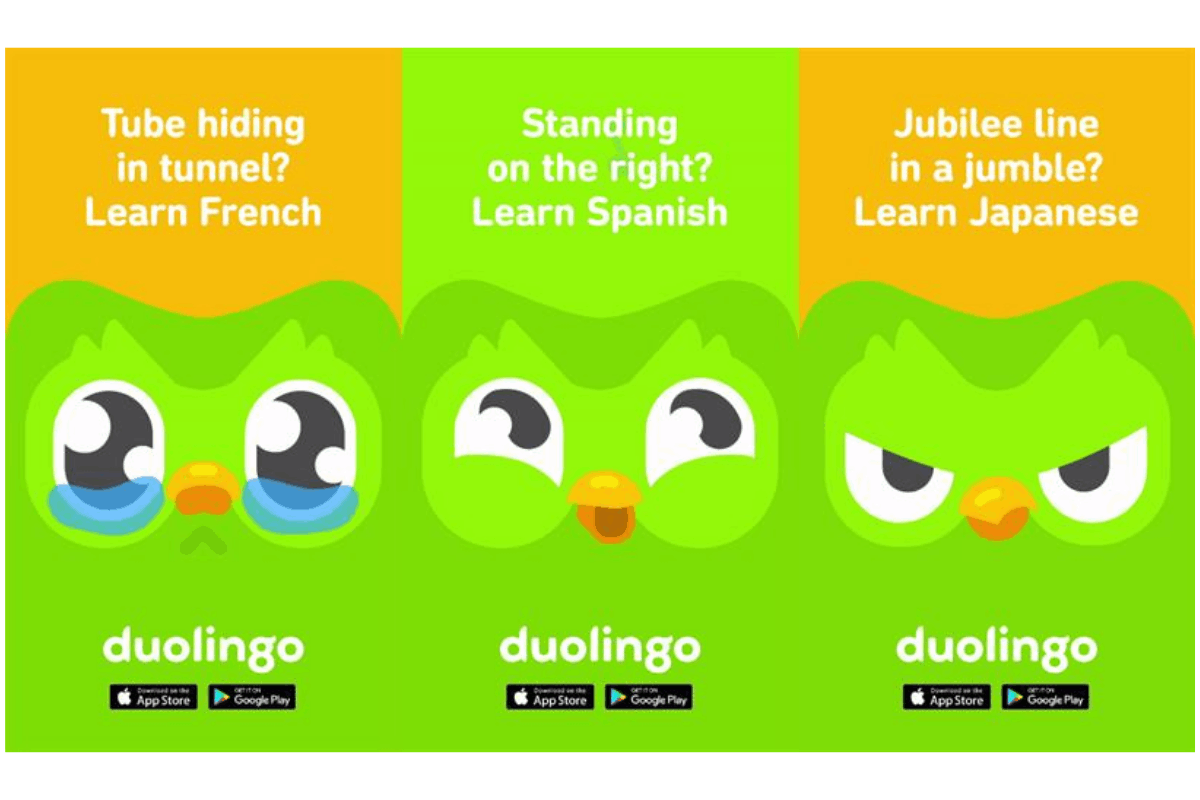 Learn Why Duolingo Is So Popular