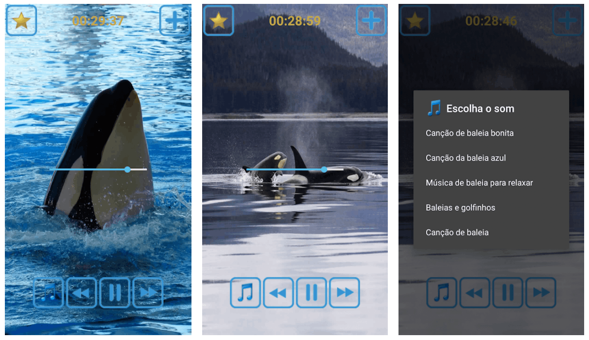 Whales Songs App - Use This App to Sleep Easily