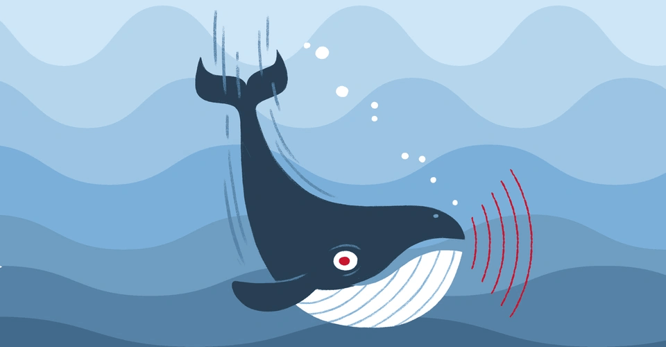 Whales Songs App - Use This App to Sleep Easily