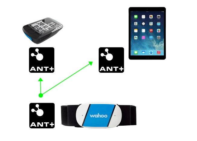 ANT+ App - How to Download and Use