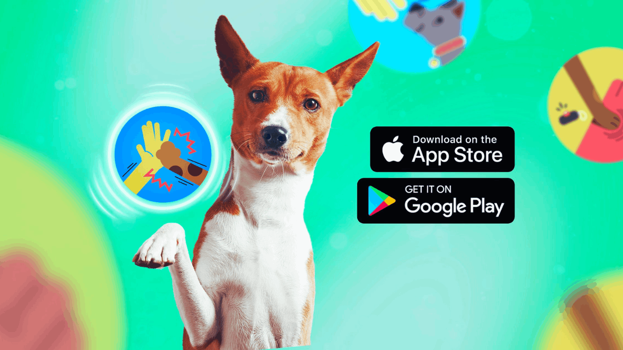 Master Dog Training With Dogo Dog Training App