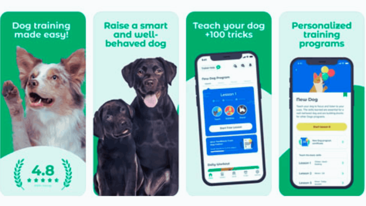 Master Dog Training With Dogo Dog Training App