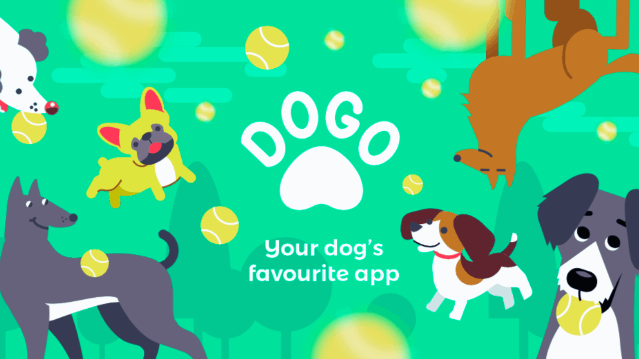 Master Dog Training With Dogo Dog Training App