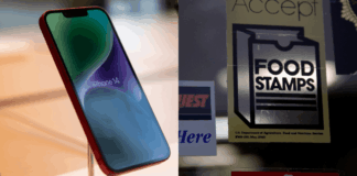 Learn How to Get Free Phone With Food Stamps Program