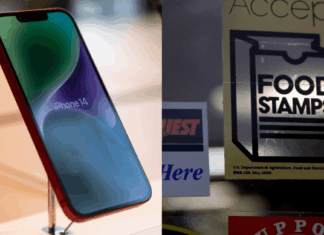 Learn How to Get Free Phone With Food Stamps Program